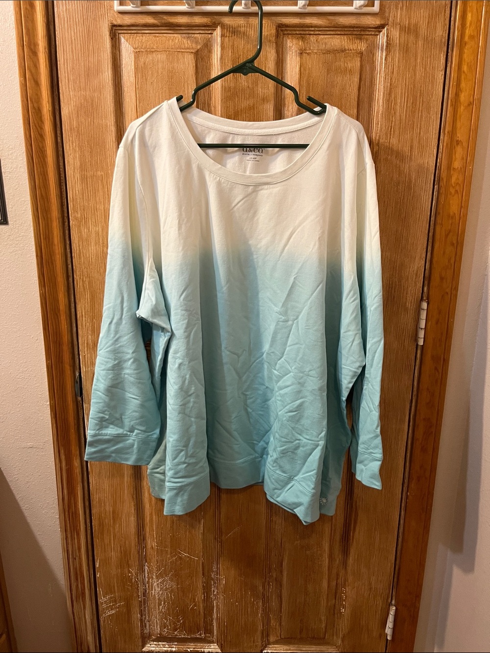 Denim + Company Ombre Long Sleeve Sweatshirt- Light Aqua/White